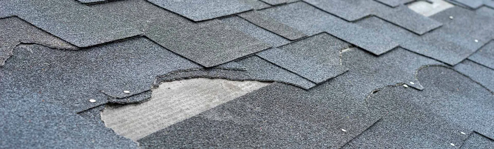 Roofing Contractor